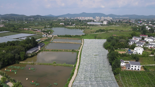 航拍农业种植温室大棚视频