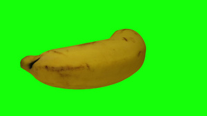 绿色背景的旋转香蕉翻滚13秒视频
