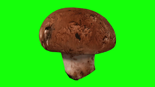 绿色背景的旋转栗子蘑菇1a视频