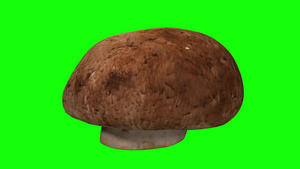 绿色背景的旋转栗子蘑菇13秒视频