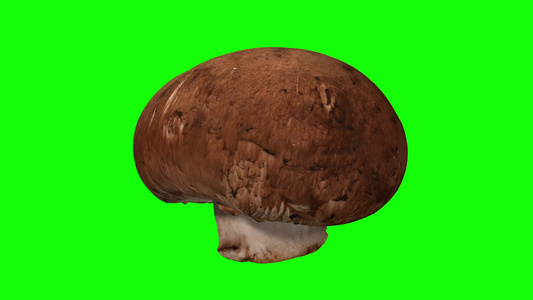 绿色背景的旋转栗子蘑菇02a视频