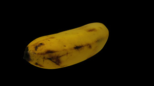 在黑色背景4滚动上旋转香蕉13秒视频