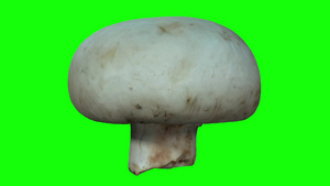 在绿色背景旋转白色蘑菇滚动13秒视频