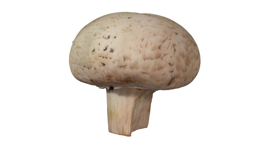 在白色背景上旋转白蘑菇视频