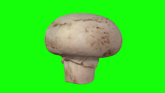 在绿色背景11上旋转白色蘑菇视频