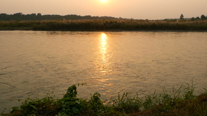 夏天在宁静的河流的日落太阳14秒视频