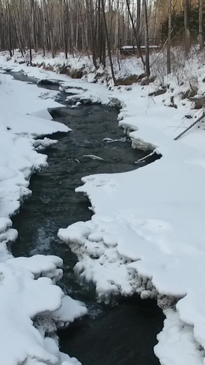 航拍冬天的冰雪消融的小溪人物活动18秒视频