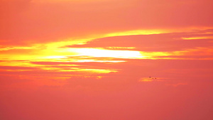 鸟儿在日落橙黄色天空和浅红云下飞翔14秒视频
