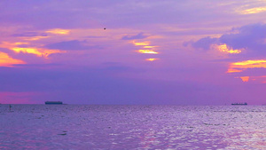 紫色日落鸟儿在海面上飞翔10秒视频