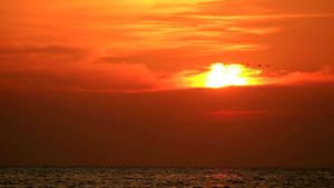 橙色乌云和天上飞翔的鸟儿背上落日的红火15秒视频