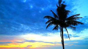 海面和天空的红云下浅影椰子日落11秒视频