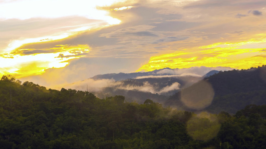 清晨雾雾雨林热带雨林视频