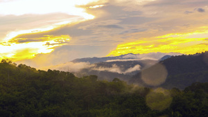 清晨雾雾雨林热带雨林15秒视频