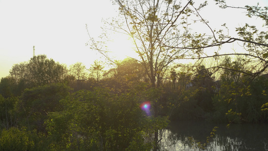 春天日落时的池塘视频