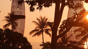 黄昏时热带海滩棕榈树的轮廓明亮奇特的树木和大橙色太阳15秒视频
