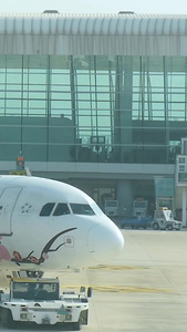 机场航班国际民航日视频