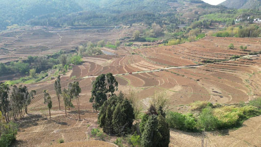 云南山区农业种植耕地航拍 视频