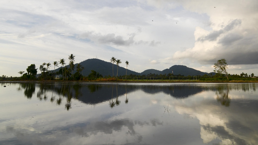 BukitMertajaam山和椰子树视频