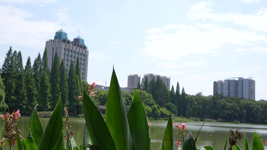 衡阳西湖公园美景游船风光 视频