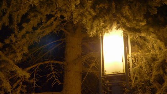 风树和冬季雪瀑上明夜的灯笼圣诞节和新年视频