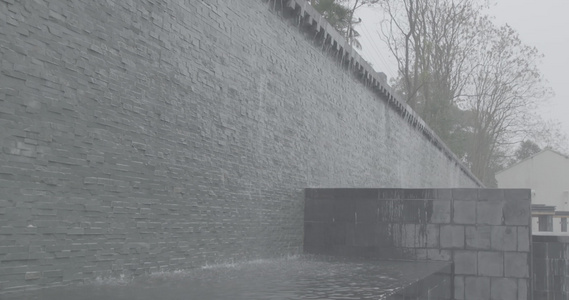 下雨 雨水 视频