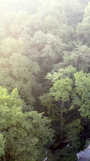 航拍杭州南屏晚钟净寺古建筑23秒视频