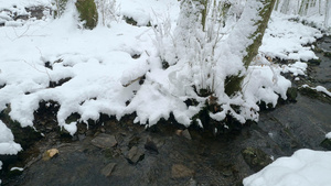 在森林里流冰雪消融20秒视频