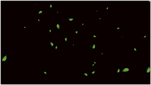 绿叶飘散15秒视频