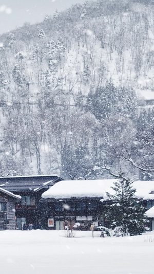 唯美冬季大寒雪景意境舞台背景视频唯美意境120秒视频