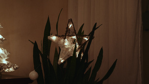 圣诞恒星在房屋植物上装饰灯光6秒视频