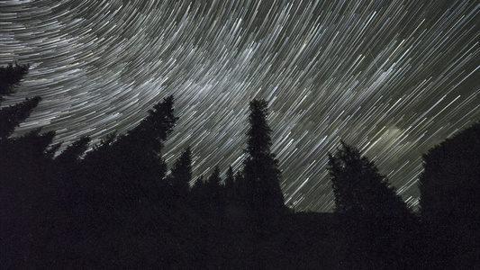 夜星空的恒星足迹横跨迷宫森林的星际星空视频