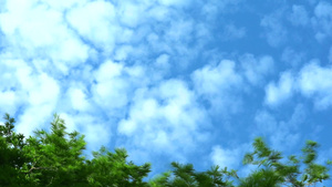 蓝色天空纯洁云彩移动绿色上树218秒视频
