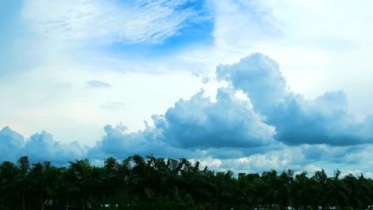 蓝色天空纯云的云移动穿过绿顶树和鸟儿飞翔视频