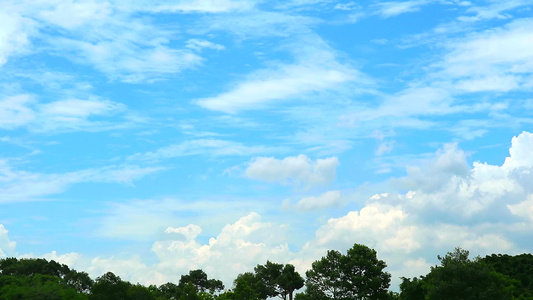 纯蓝天空有云移过绿顶草树时间错误1视频