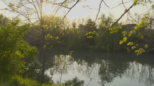 春季2号日落时的池塘视图视频