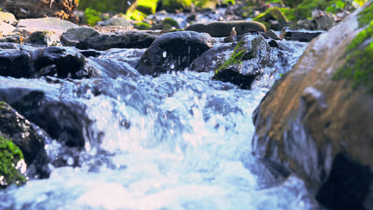 淡水泉水视频