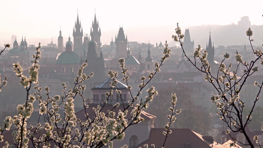 日出后美丽的春光从开花的佩特林山CzechRepublic视频