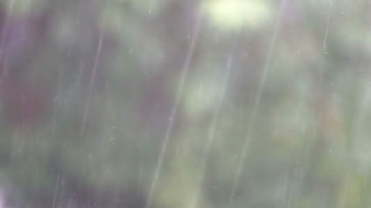 软绿背景的雨滴美丽的模糊的自然降雨模式春季视频