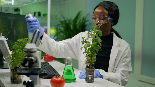 非洲植物学家研究员从测试管中获取基因溶液视频