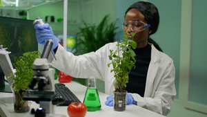 非洲植物学家研究员从测试管中获取基因溶液28秒视频