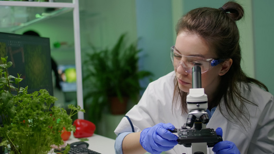 研究显微镜下的绿叶样本的生物学家科学家视频
