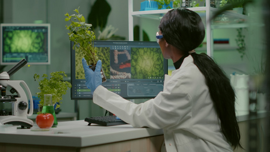 研究绿色树苗以进行医学实验的科学家们视频