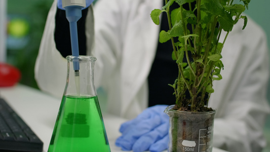 利用微水管将遗传液体放入树苗的植物学家妇女近距离封闭视频