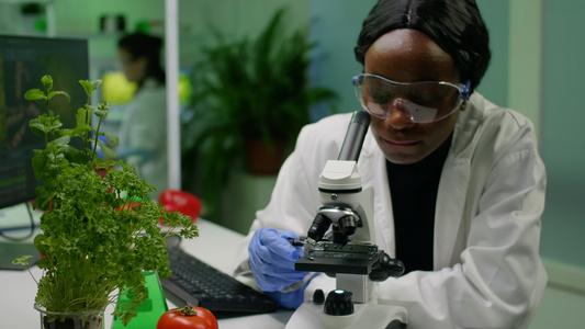 分析gmo绿色样本的生物学家研究者女性前视线视频