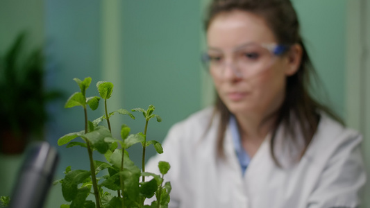 关闭植物女植物学妇女检查用于农业实验的树苗视频