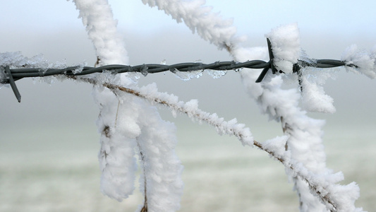 被雪覆盖的铁丝网视频