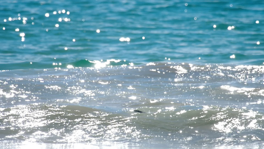 冰雪波浪滚滚的海边奈伊夏恩海滩视频