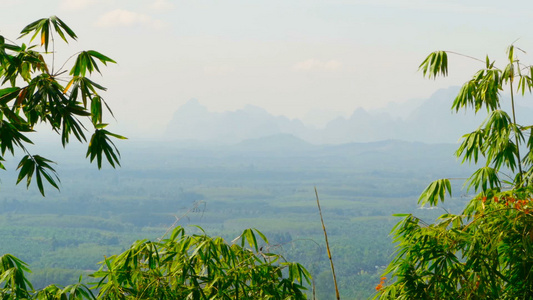 河谷的风景和山峰背景通过竹叶穿过竹叶视频