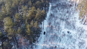 一辆车在乡村公路上开车穿过冬季森林无人驾驶飞机37秒视频