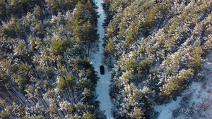 一辆车在乡村公路上开车穿过冬季森林无人驾驶飞机的顶级44秒视频